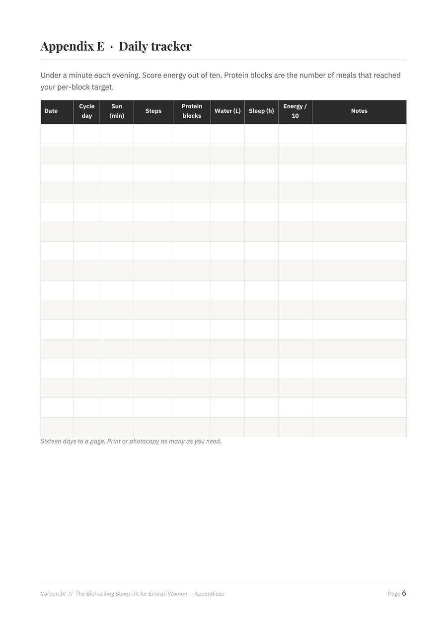Appendix E, the printable daily tracker